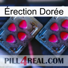 Érection Dorée 14